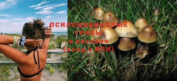 прущие крисы Аркадак